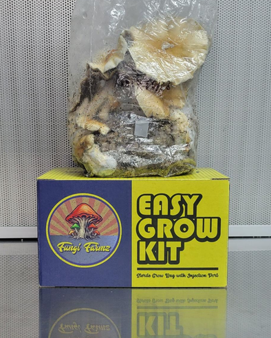 Fungi Farmz Grow Kits