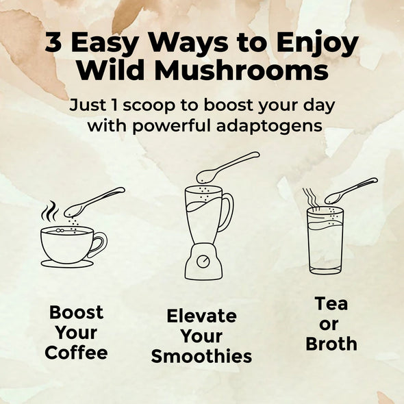 Master Shrooms Five Mushrooms Blend - Adaptogens + Prebiotic Powerhouse
